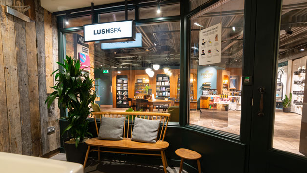 TANGLED HAIR 25 Minute Scalp and Facial Massage for One at LUSH Spas Image 5