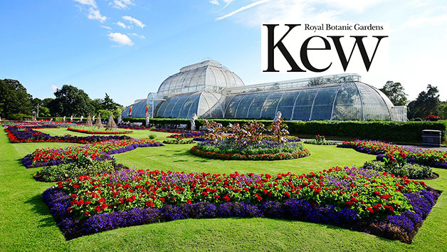 Entry to Kew Gardens and Palace for Two Adults picture