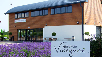 Cheese and Wine Tasting and Vineyard Tour for Two at Kerry Vale Vineyard Image 2