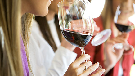 Vineyard Tour and Wine Tasting for Two at Kerry Vale Vineyard, Shropshire Image 2