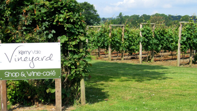 Vineyard Tour with Wine Tasting at Kerry Vale Vineyard for Two picture