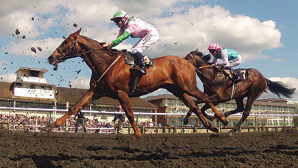 Classic Day At The Races With Lunch For Two