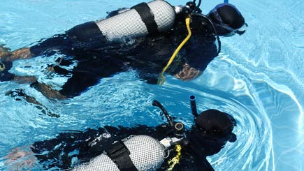 Click to view details and reviews for Scuba Diving In Kent.