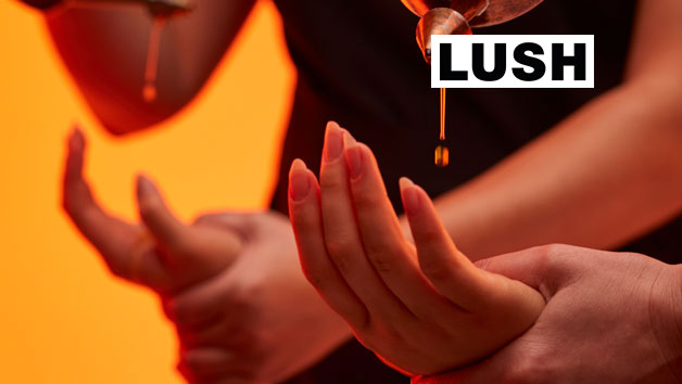 KARMA 65 Minute Ayurvedic Inspired Full Body Massage for One at LUSH Spas Image 1