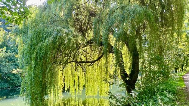 Overnight Cocoon Break at Lee Valley for Two picture