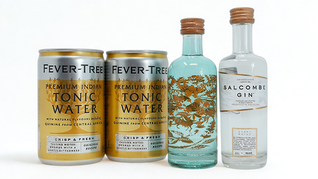 Little Gin Box 6 Month Premium Subscription picture