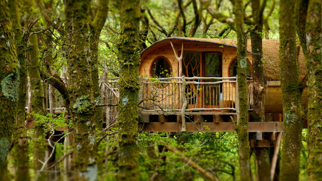 Two Night Treehouse Escape in Wales for Two picture