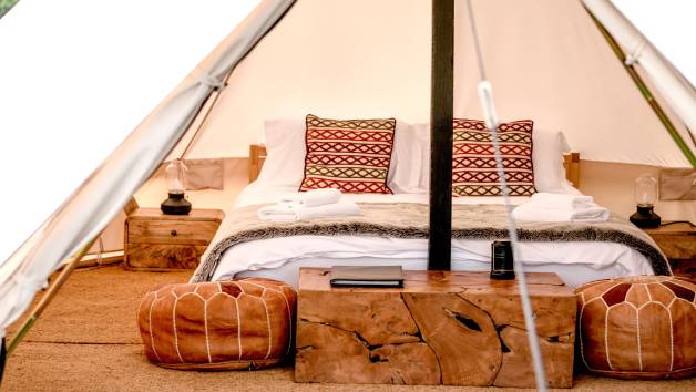 Luxury Glamping Overnight Stay with Breakfast at Oastbrook Estate for Two picture