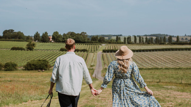 Three Vineyard Bus Tour for Two with Wine Tasting and Lunch picture