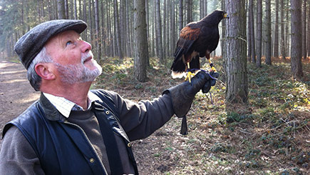 Hands-on Hawk Taster with BB Falconry Image 2