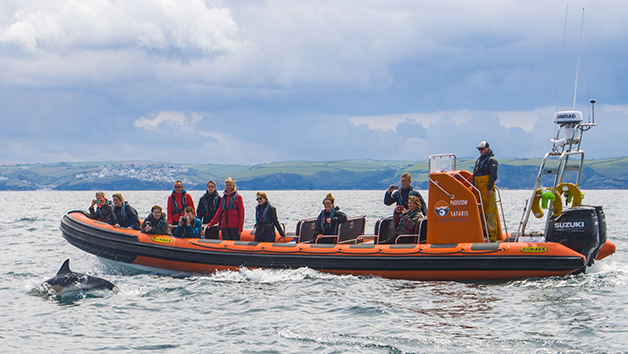 Click to view details and reviews for Two Hour Sealife Safari Rib Trip For Two In Padstow Cornwall.