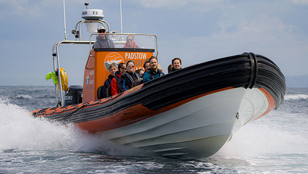 Two Hour Sealife Safari RIB Trip for Two in Padstow, Cornwall Image 2