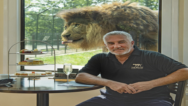 Paul Hollywood Afternoon Tea at The Big Cat Sanctuary for Two Image 3