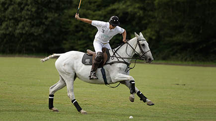 Polo Day For Two