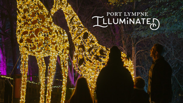 Festive Magical Light Trail and One Night Stay at Port Lympne for Two Adults and Two Children picture