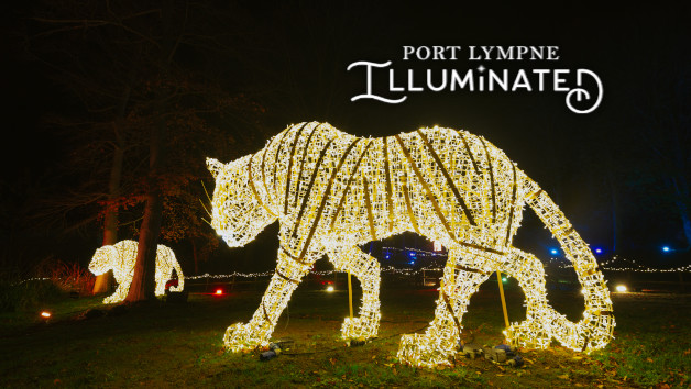 Twilight Tea and Festive Light Trail with Port Lympne for Two picture