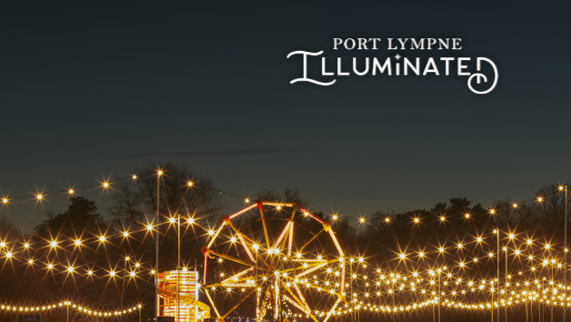 Festive Magical Light Trail and One Night Stay at Port Lympne for Eight People picture