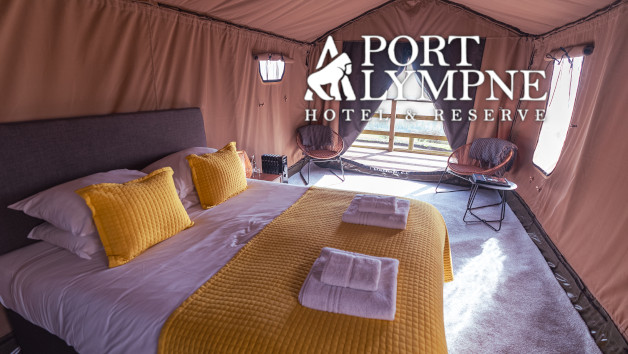 Giraffe Lodge Stay with Breakfast, Dinner and Safari for Two at Port Lympne Hotel and Reserve, Kent picture