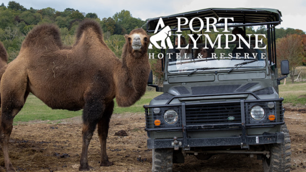 Port Lympne Reserve Ranger Tour with Entry for Two picture