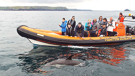 rib boat trips cornwall