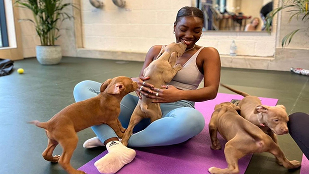 Puppy Yoga with Bottomless Prosecco for Two with Puply Image 1