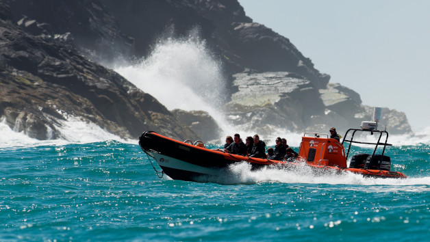 One Hour Seal Safari RIB Trip in Padstow, Cornwall for Two picture