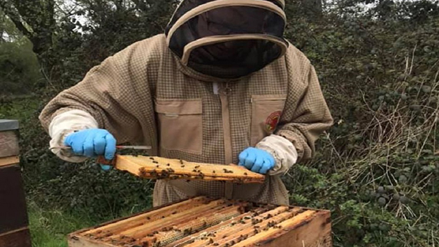 Inside the Hive Rural Beekeeping Experience for One with Park Farm Cottage Image 1