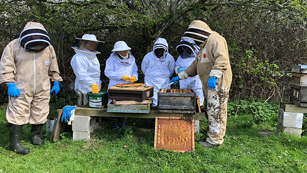 Inside the Hive Rural Beekeeping Experience for Two with Park Farm Cottage Image 1