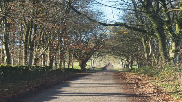 Taster eBike Tour for Two in the Peak District Image 2