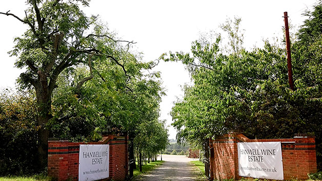 Vineyard Tour and Tasting for Two at Hanwell Wine Estate Image 3