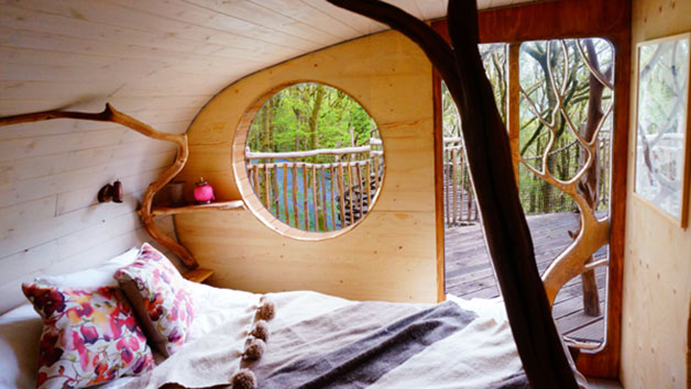 Click to view details and reviews for Two Night Family Treehouse Escape Wales.
