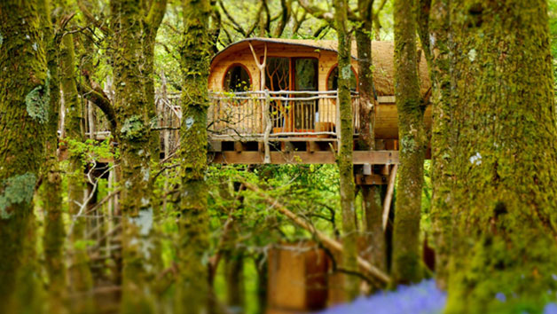 Two Night Family Treehouse Escape, Wales Image 2