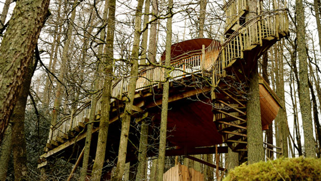 Two Night Family Treehouse Escape, Wales Image 3