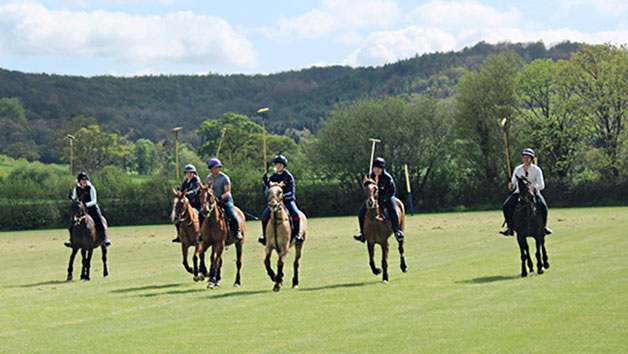 Introduction to Polo for One with Lunch at Taunton Vale Polo Club Image 3