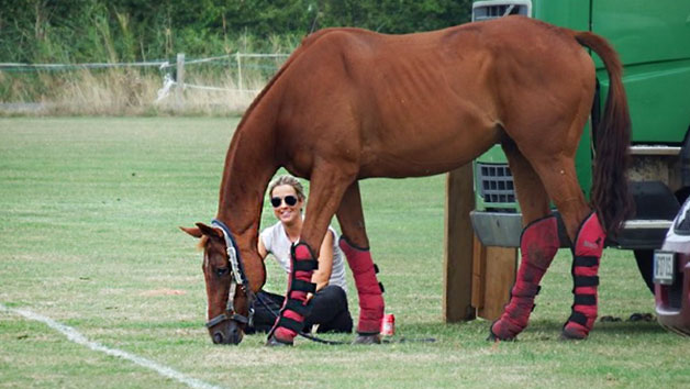 Introduction to Polo for One with Lunch at Taunton Vale Polo Club Image 2