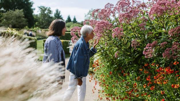 Unlimited Access to Five Gardens with RHS Individual Membership picture