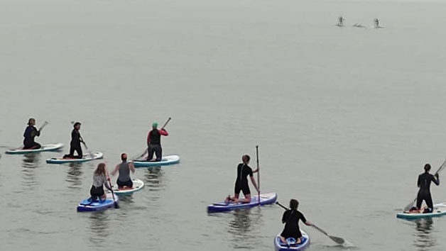 Stand Up Paddleboarding One Hour Group Lesson for Two with Bay Paddle Boards Image 5