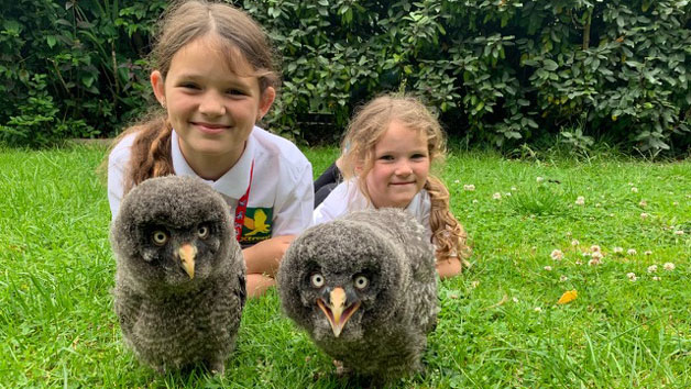 VIP Family Session at Xtreme Falconry in Dorset Image 3