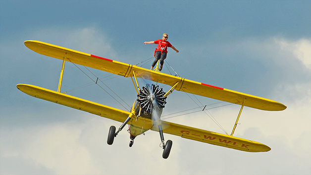 Wing Walking Experience for One Image 3