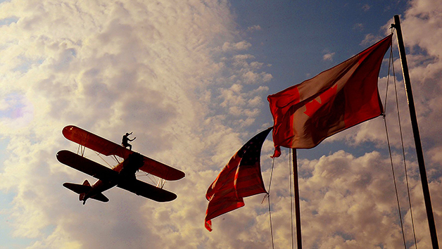 Wing Walking Experience for One Image 5