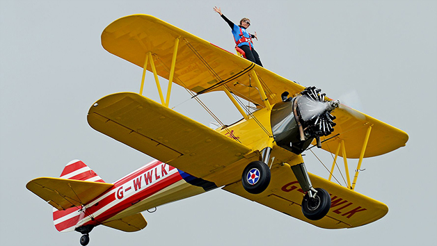 Wing Walking Experience for One Image 4