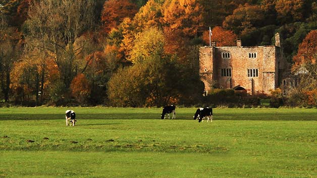 Bickleigh Castle, Grounds and Garden Guided Tour and Cream Tea for Two Image 4