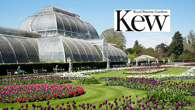 Kew Gardens Private Guided Walking Tour and Admission for Two picture