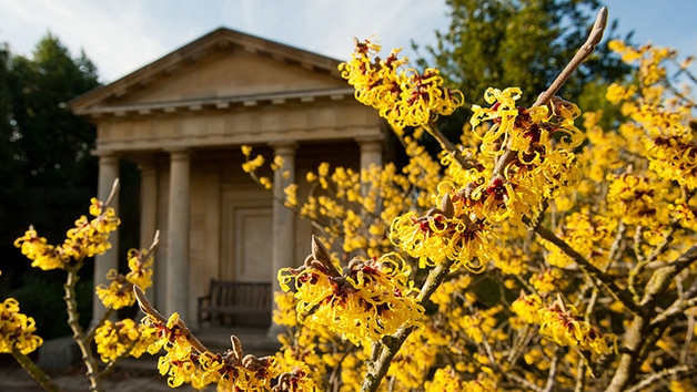 Kew Gardens Private Guided Walking Tour and Admission for Two Image 2