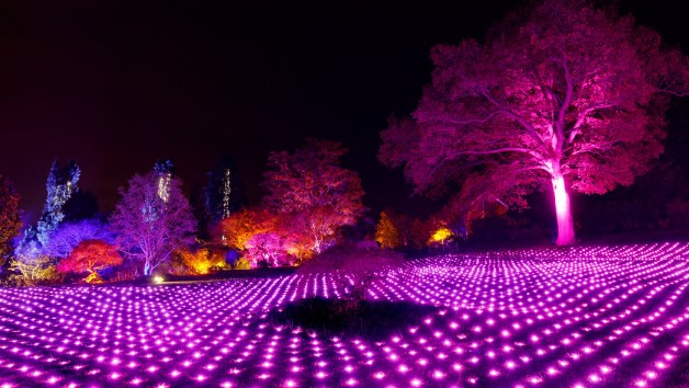 RHS Glow Illuminations for Two Adults and Two Children at Wisley picture