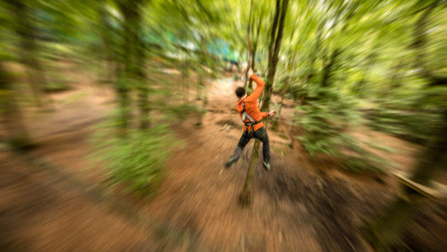 Entry to Zip Trek and Treetop Nets for Two at Treetop Trek Image 2