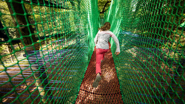 Treetop Nets at Treetop Trek for One Image 2