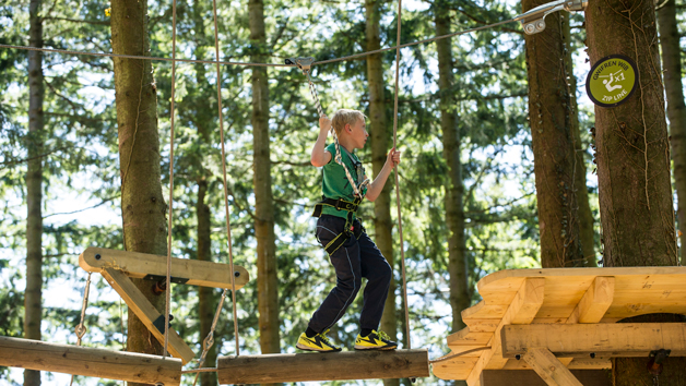 Zip World Tree Hoppers Experience for One Image 3