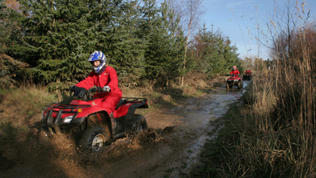 Quad Bike Driving Thrill Image 3