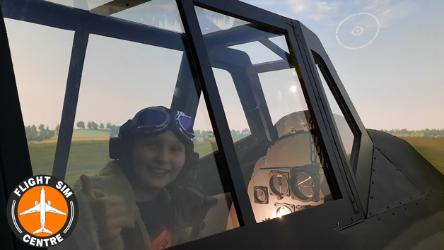 Battle Of Britain Flight Simulator Experience For Two